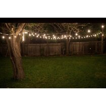 Wayfair shop garden lights